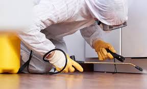 Real Estate Pest Inspections in Fruitvale, CO